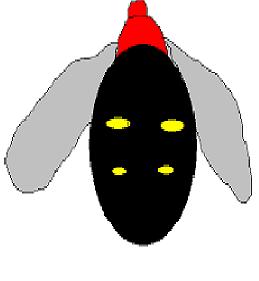 557_1208512062_bmp_759.JPG