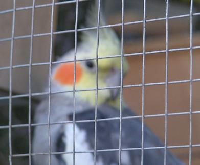 Picture 004.jpg