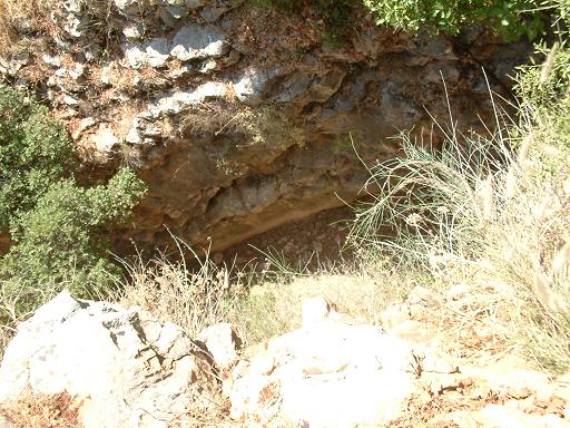 DSCF0019.JPG