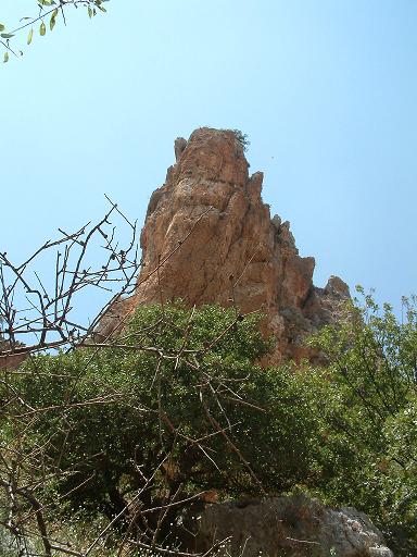 DSCF0016.JPG