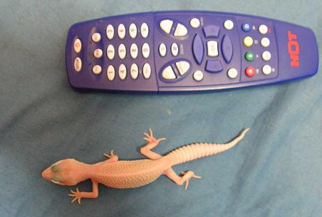 256_1209841867_jpg_123.jpg