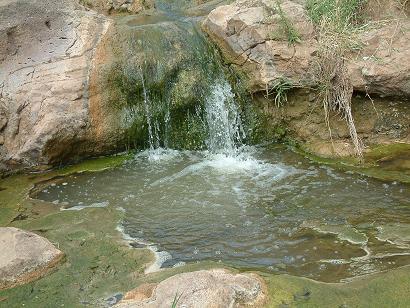 DSCF0020.JPG