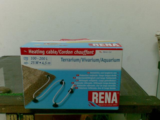 RENA.JPG