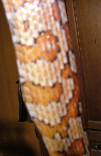 DSCF6398.JPG