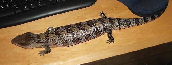 DSCF7259.JPG