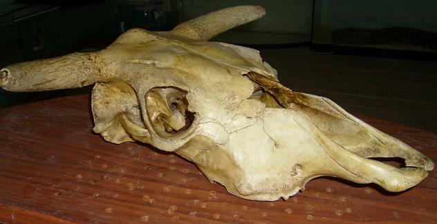 S7001272.JPG