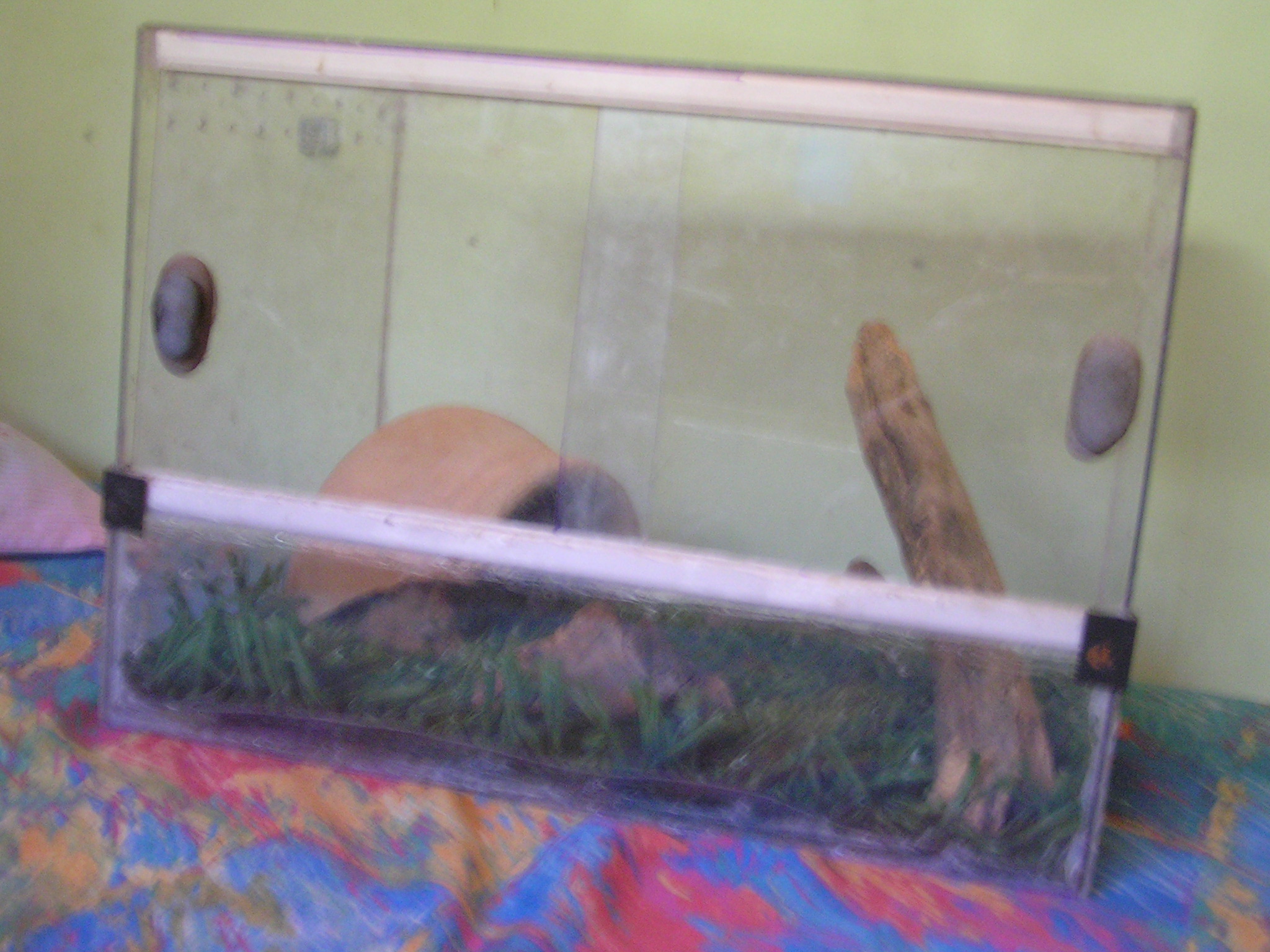 Picture 010.jpg