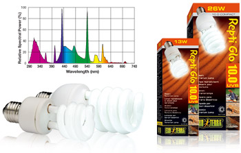 compact_bulbs_50.jpg