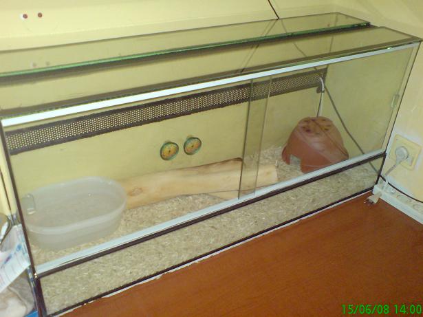 19.JPG