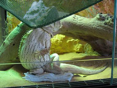 IMG_0076.JPG