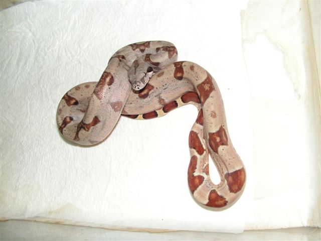 PICT0176.JPG
