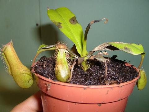 S7001318.JPG