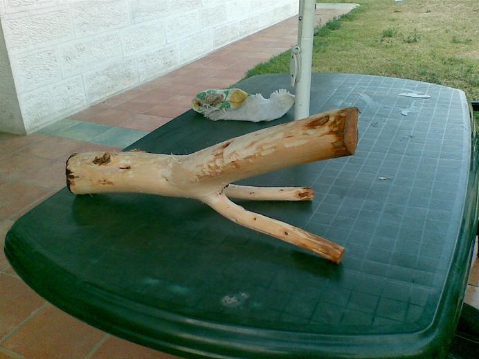 111.jpg