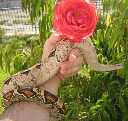 112_1214735664_jpg_184.jpg