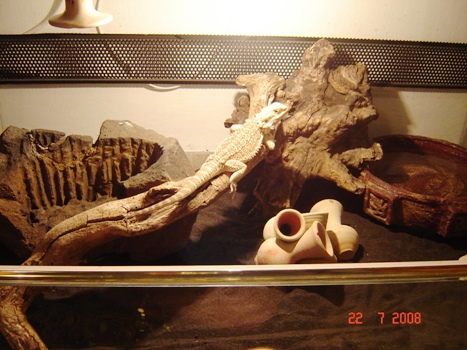 DSC03745.JPG