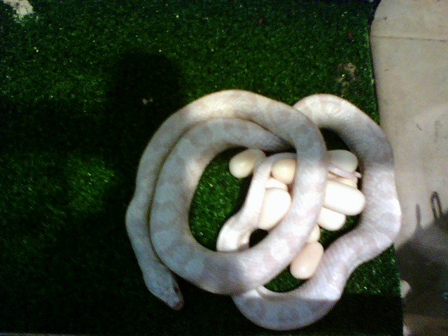 0624082301.jpg