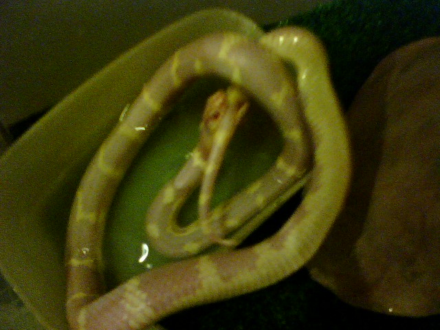0730082025a.jpg