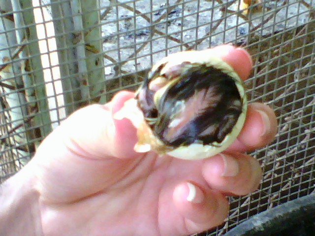 0704081736.jpg
