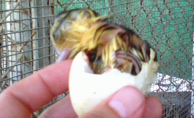 0704081737a.jpg