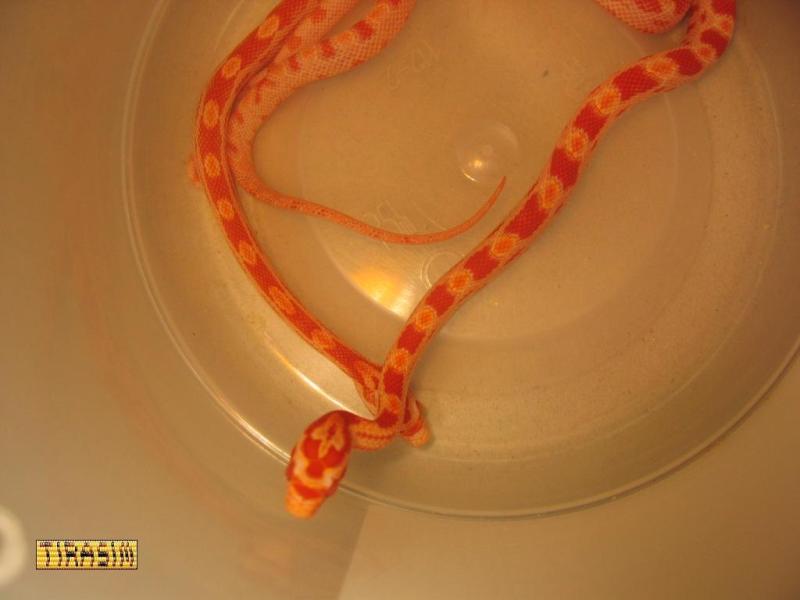 IMG_3377.JPG