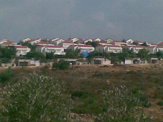 05082008(014).JPG