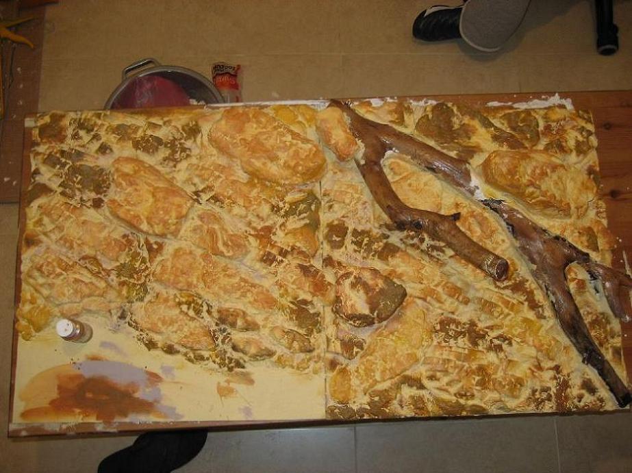 50.jpg
