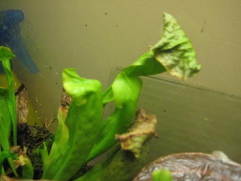IMG_1594.JPG