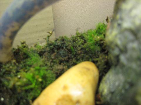 IMG_1599.JPG