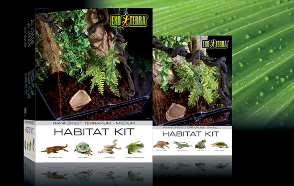kit_rainforest.jpg