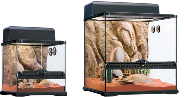 kits_desert_terr.jpg