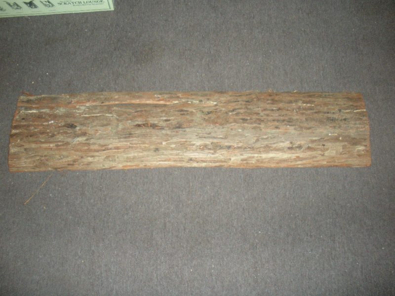 1 020.jpg