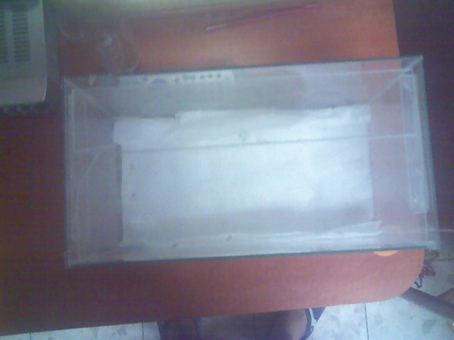 10-10-08_2019.jpg
