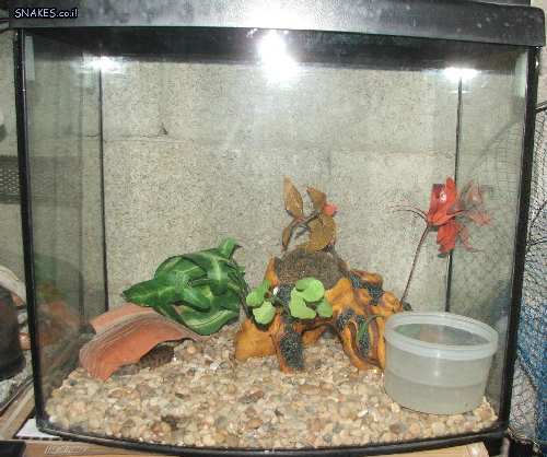 DSCF2264.JPG