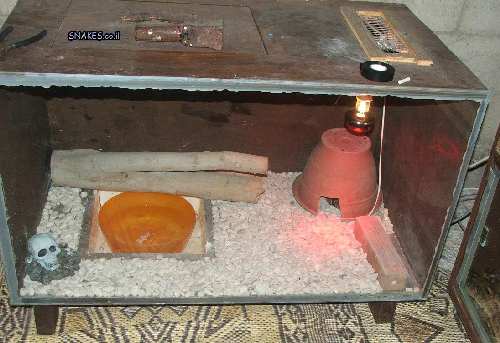 DSCF2265.JPG