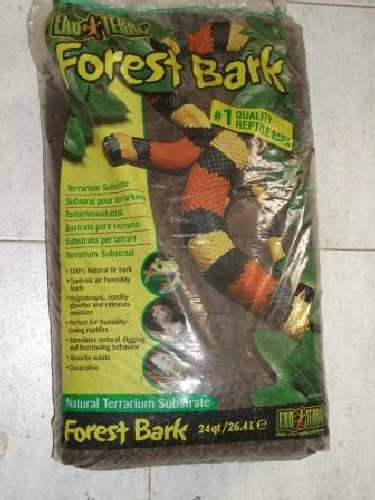 forest bark.JPG