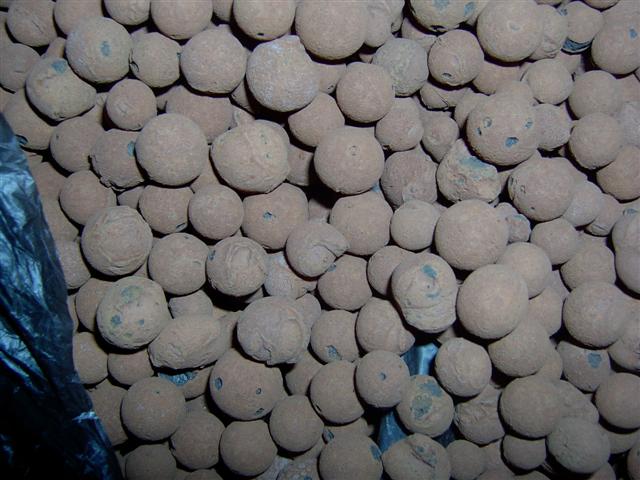 IM000081 (Small).JPG