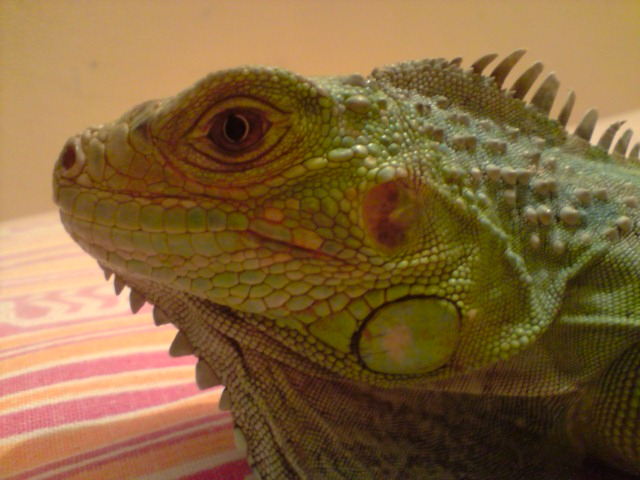 P211008_00.25.jpg