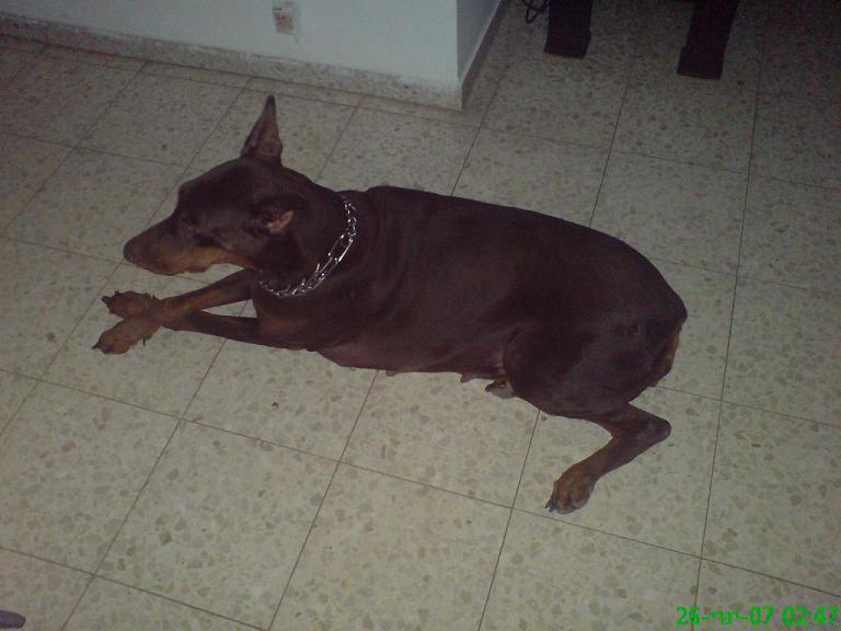 DSC00087.JPG