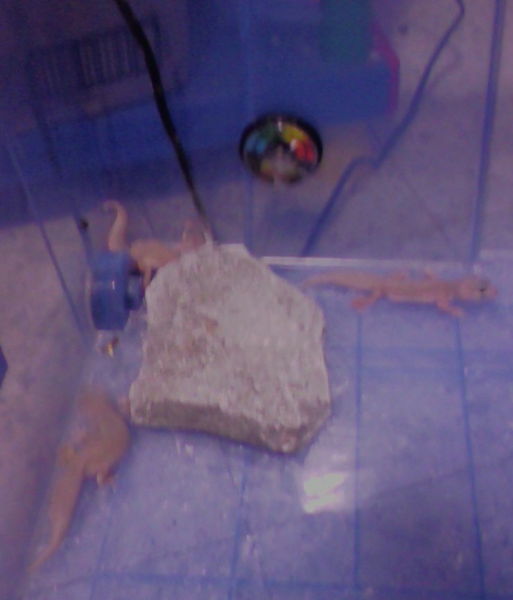 26102008183551.jpg