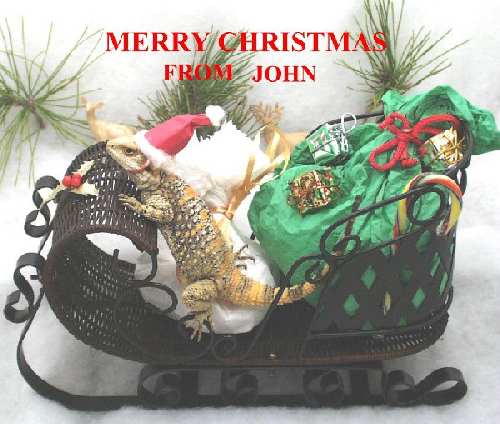 19756Christmas__05-med.jpg