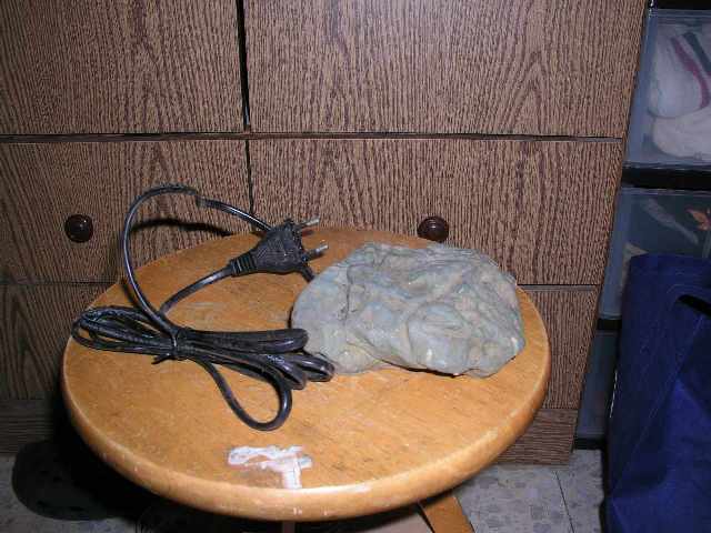 P1010214rr.jpg