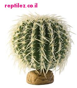 ground_desert_plants.jpg