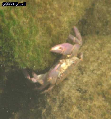 DSCF2332.JPG