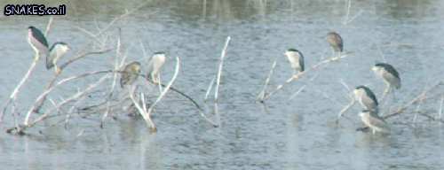 DSCF2326.JPG
