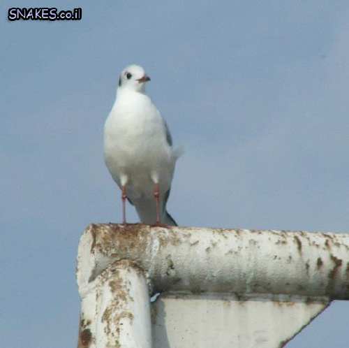 DSCF2293.JPG