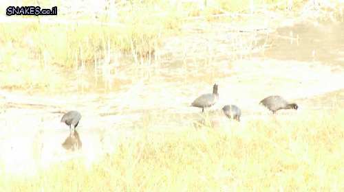 DSCF2319.JPG