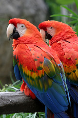 2650545167_029d073426_m.jpg