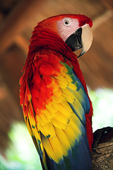 370456339_10b73a7e42_m.jpg