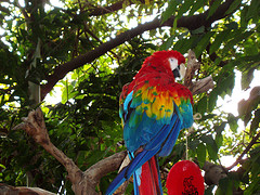 78233973_73e5835e04_m.jpg