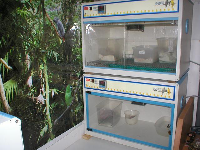 p1010065_302.jpg